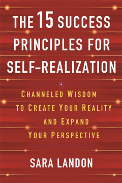 Bild på The 15 Success Principles for Self-Realization: Channelled Wisdom to Create Your Reality and Expand Your Perspective