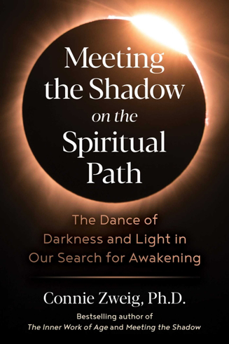 Bild på Meeting The Shadow On The Spiritual Path