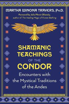 Bild på Shamanic Teachings of the Condor: Encounters with the Mystical Traditions of the Andes