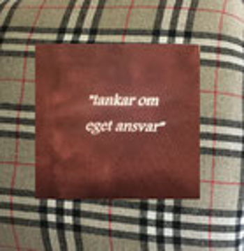 Bild på Tankar om eget ansvar