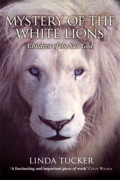 Bild på Mystery of the White Lions