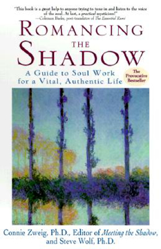 Bild på Romancing the Shadow