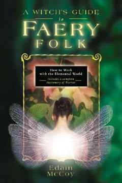 Bild på Witchs guide to faery folk - reclaiming our working relationship with invis