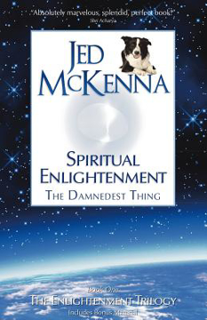 Bild på Spiritual enlightenment - the damnedest thing