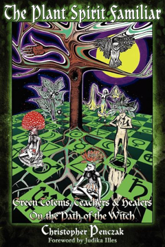 Bild på Plant Spirit Familiar: Green Totems, Teachers & Healers On The Path Of The Witch
