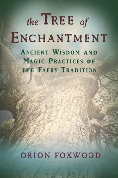 Bild på Tree of enchantment - ancient wisdom of magical practices of the faery tradition