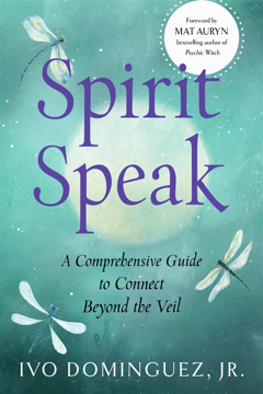 Bild på Spirit Speak: A Comprehensive Guide to Connect Beyond the Veil
