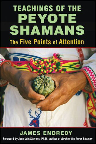 Bild på Teachings of the Peyote Shamans: The Five Points of Attention