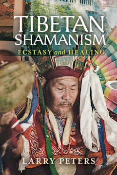 Bild på Tibetan Shamanism