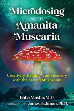 Bild på Microdosing With Amanita Muscaria