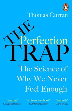 Bild på The Perfection Trap