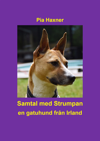 Bild på Samtal med Strumpan : en gatuhund från Irland